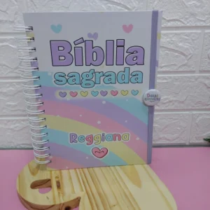 Bíblia para estudo 24x17 Versão Evangélica